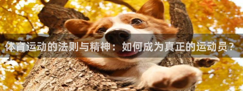皇冠277体育