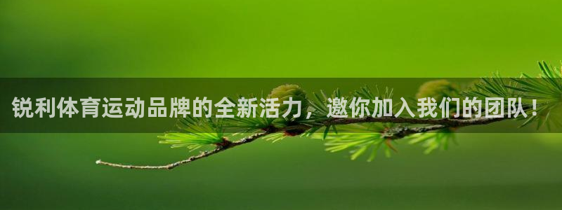 77体育app下载官网