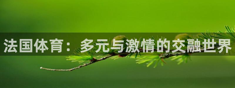 77体育官网
