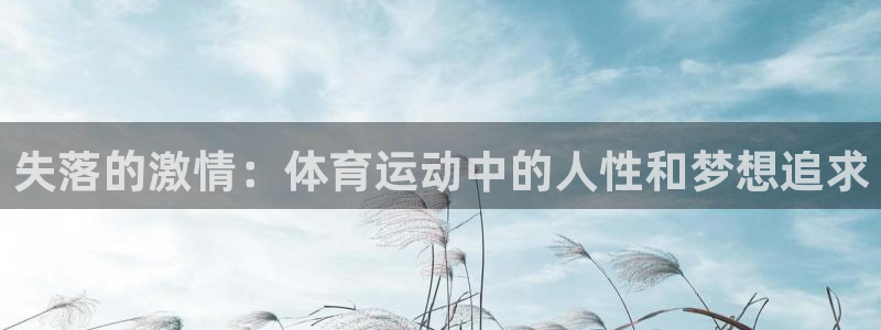 77体育官网