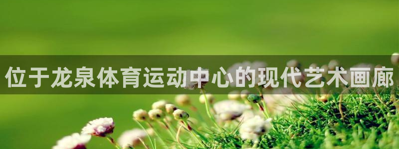 77体育：位于龙泉体育运动中心的现代艺术画廊