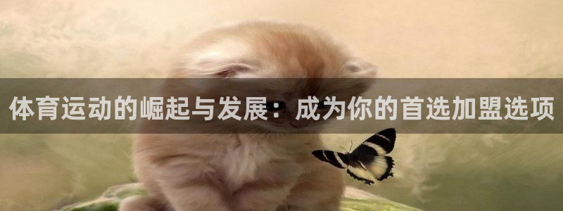 77体育：体育运动的崛起与发展：成为你的首选加盟选项